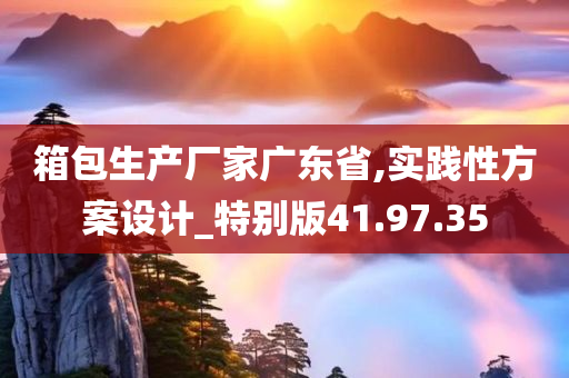 箱包生产厂家广东省,实践性方案设计_特别版41.97.35