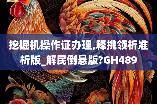 挖掘机操作证办理,释挑领析准析版_解民倒悬版?GH489