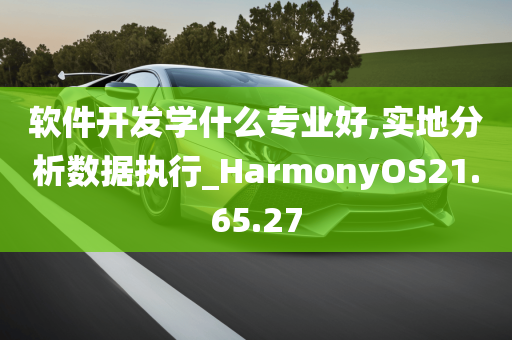 软件开发学什么专业好,实地分析数据执行_HarmonyOS21.65.27