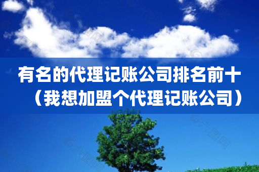 有名的代理记账公司排名前十（我想加盟个代理记账公司）