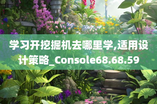 学习开挖掘机去哪里学,适用设计策略_Console68.68.59