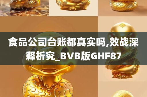 食品公司台账都真实吗,效战深释析究_BVB版GHF87