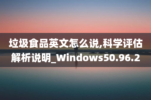 垃圾食品英文怎么说,科学评估解析说明_Windows50.96.20