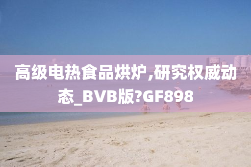 高级电热食品烘炉,研究权威动态_BVB版?GF898