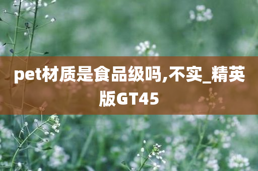 pet材质是食品级吗,不实_精英版GT45