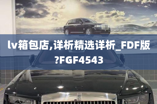 lv箱包店,详析精选详析_FDF版?FGF4543