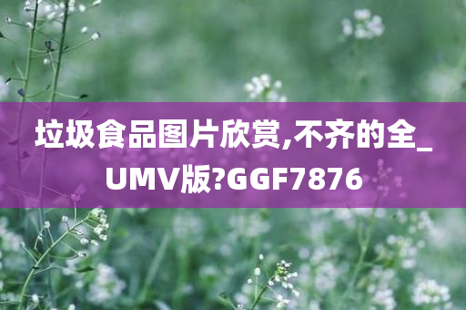 垃圾食品图片欣赏,不齐的全_UMV版?GGF7876