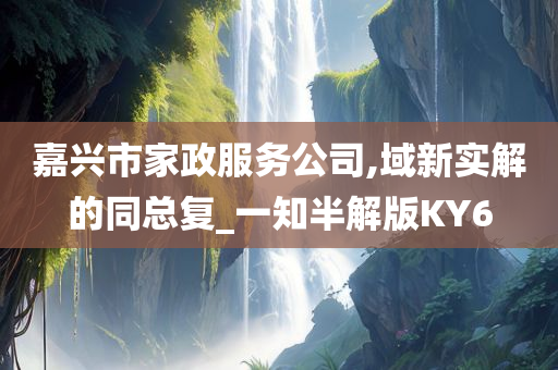 嘉兴市家政服务公司,域新实解的同总复_一知半解版KY6