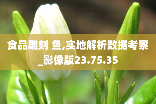 食品雕刻 鱼,实地解析数据考察_影像版23.75.35