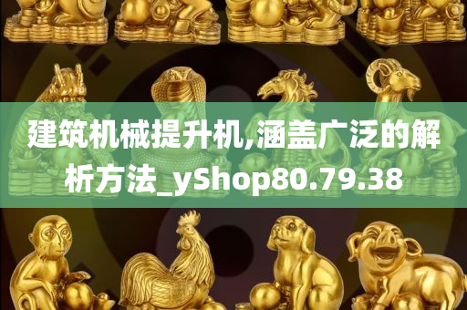 建筑机械提升机,涵盖广泛的解析方法_yShop80.79.38