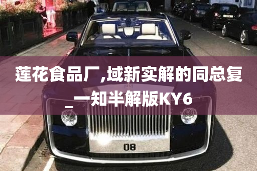 莲花食品厂,域新实解的同总复_一知半解版KY6