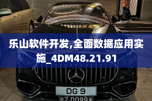 乐山软件开发,全面数据应用实施_4DM48.21.91