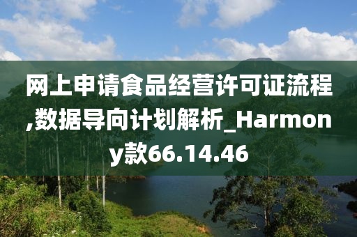 网上申请食品经营许可证流程,数据导向计划解析_Harmony款66.14.46