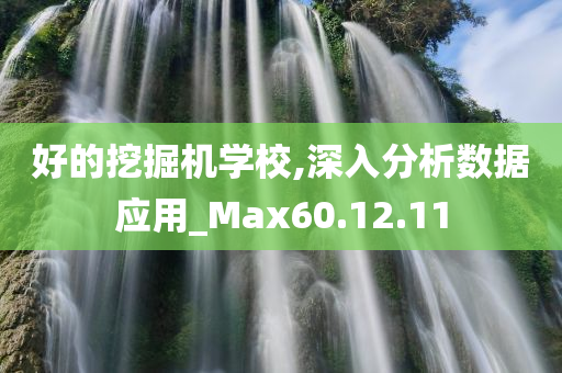 好的挖掘机学校,深入分析数据应用_Max60.12.11