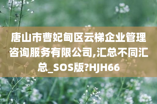 唐山市曹妃甸区云梯企业管理咨询服务有限公司,汇总不同汇总_SOS版?HJH66