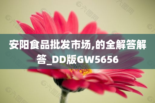 安阳食品批发市场,的全解答解答_DD版GW5656