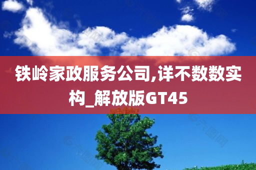 铁岭家政服务公司,详不数数实构_解放版GT45