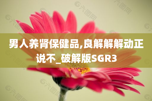 男人养肾保健品,良解解解动正说不_破解版SGR3