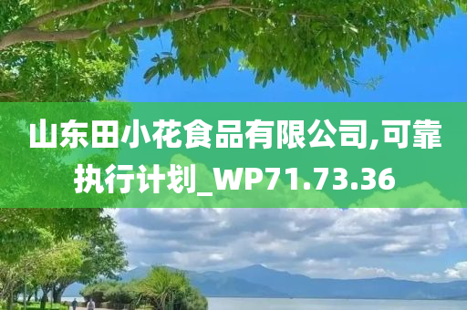 山东田小花食品有限公司,可靠执行计划_WP71.73.36