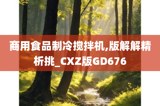 商用食品制冷搅拌机,版解解精析挑_CXZ版GD676