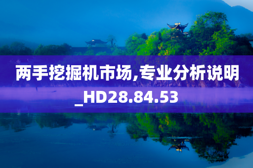 两手挖掘机市场,专业分析说明_HD28.84.53