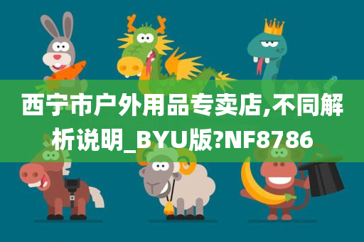 西宁市户外用品专卖店,不同解析说明_BYU版?NF8786