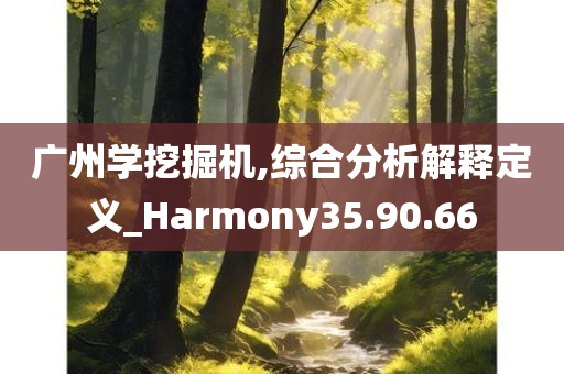 广州学挖掘机,综合分析解释定义_Harmony35.90.66