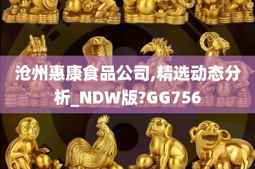 沧州惠康食品公司,精选动态分析_NDW版?GG756