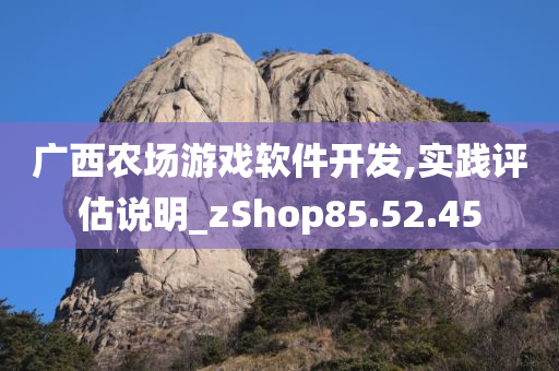 广西农场游戏软件开发,实践评估说明_zShop85.52.45