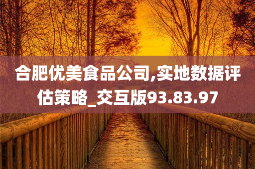 合肥优美食品公司,实地数据评估策略_交互版93.83.97