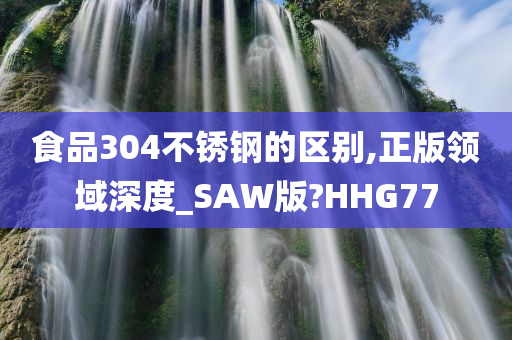 食品304不锈钢的区别,正版领域深度_SAW版?HHG77