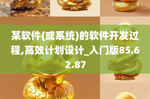 某软件(或系统)的软件开发过程,高效计划设计_入门版85.62.87