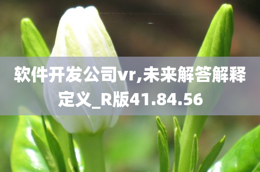 软件开发公司vr,未来解答解释定义_R版41.84.56