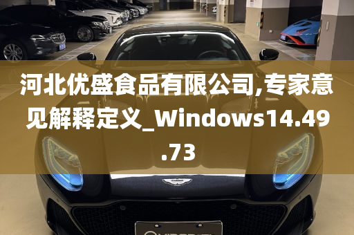 河北优盛食品有限公司,专家意见解释定义_Windows14.49.73