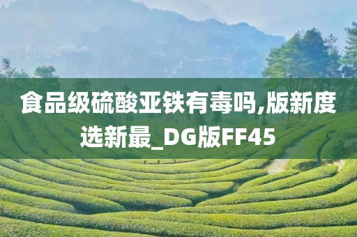 食品级硫酸亚铁有毒吗,版新度选新最_DG版FF45