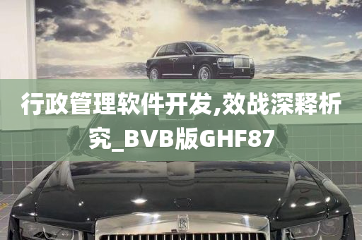 行政管理软件开发,效战深释析究_BVB版GHF87