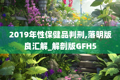 2019年性保健品判刑,落明版良汇解_解剖版GFH5