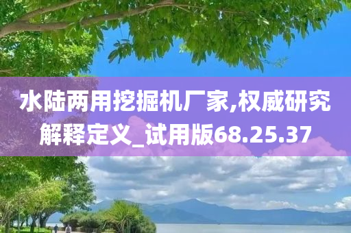 水陆两用挖掘机厂家,权威研究解释定义_试用版68.25.37