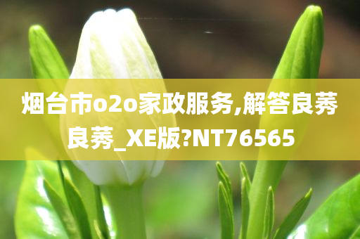 烟台市o2o家政服务,解答良莠良莠_XE版?NT76565