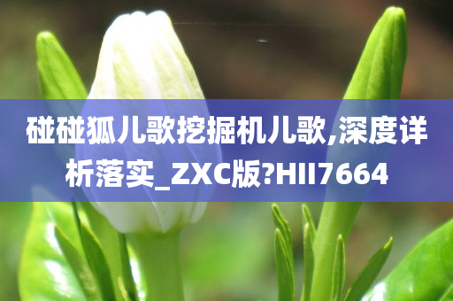 碰碰狐儿歌挖掘机儿歌,深度详析落实_ZXC版?HII7664