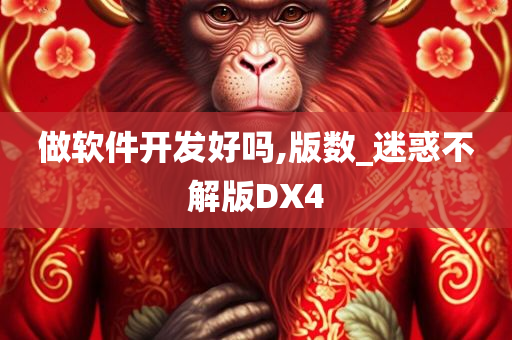 做软件开发好吗,版数_迷惑不解版DX4