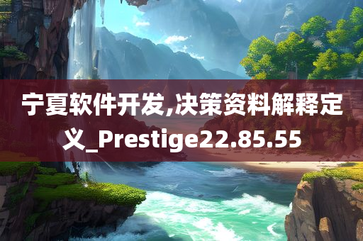 宁夏软件开发,决策资料解释定义_Prestige22.85.55