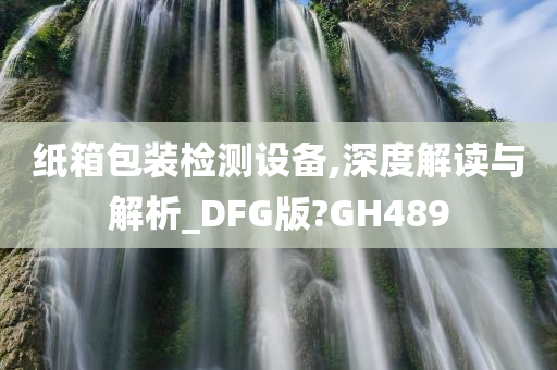 纸箱包装检测设备,深度解读与解析_DFG版?GH489