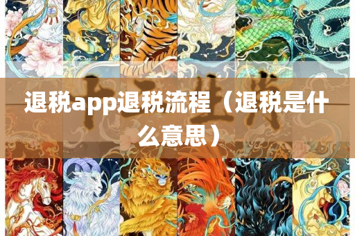 退税app退税流程（退税是什么意思）