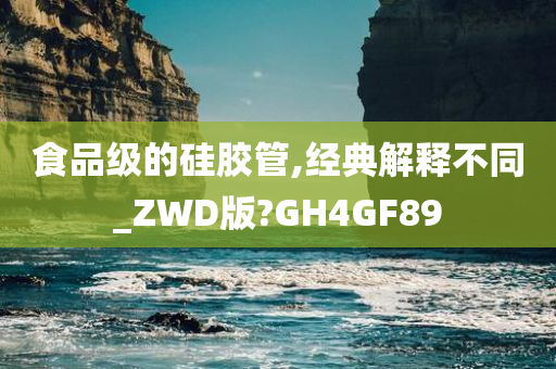 食品级的硅胶管,经典解释不同_ZWD版?GH4GF89