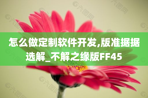 怎么做定制软件开发,版准据据选解_不解之缘版FF45