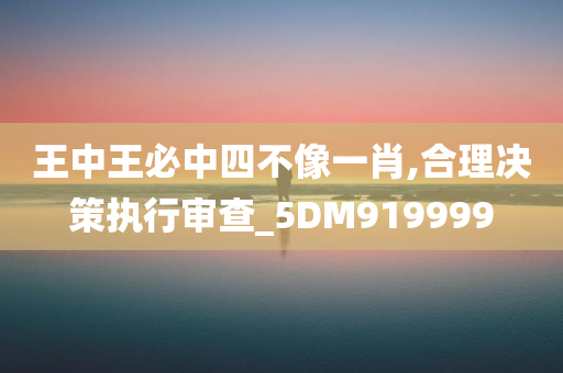 王中王必中四不像一肖,合理决策执行审查_5DM919999