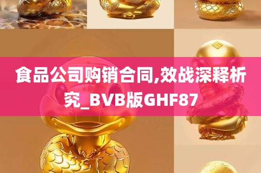 食品公司购销合同,效战深释析究_BVB版GHF87