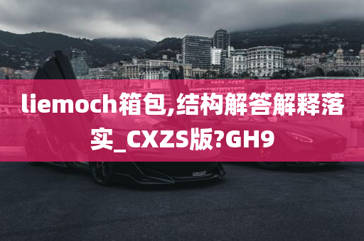 liemoch箱包,结构解答解释落实_CXZS版?GH9