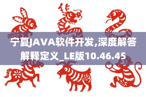 宁夏JAVA软件开发,深度解答解释定义_LE版10.46.45